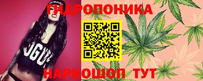 jwh Краснодар