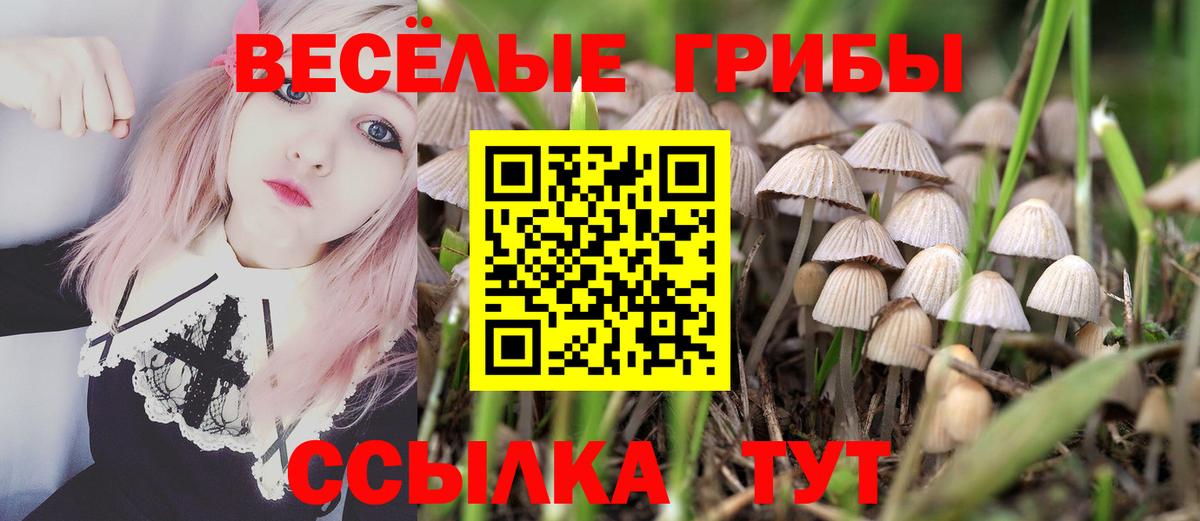 цена наркотик  Вход с VPN  Ковров  Галлюциногенные грибы прущие грибы 
